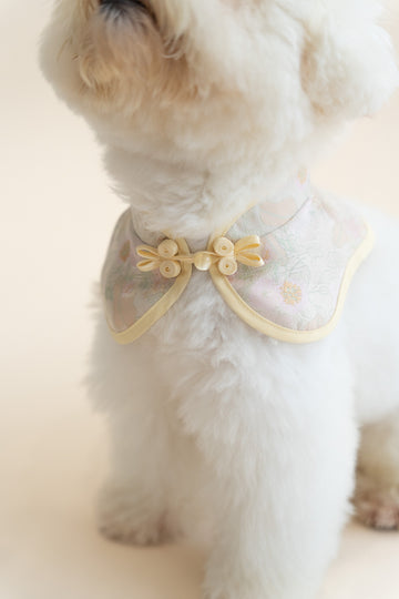Pets Pastel Gleam Floral Cheongsam Collar (Beige Yellow)