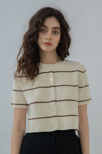 Short Sleeve Stripes Knit Top (Beige Stripes)