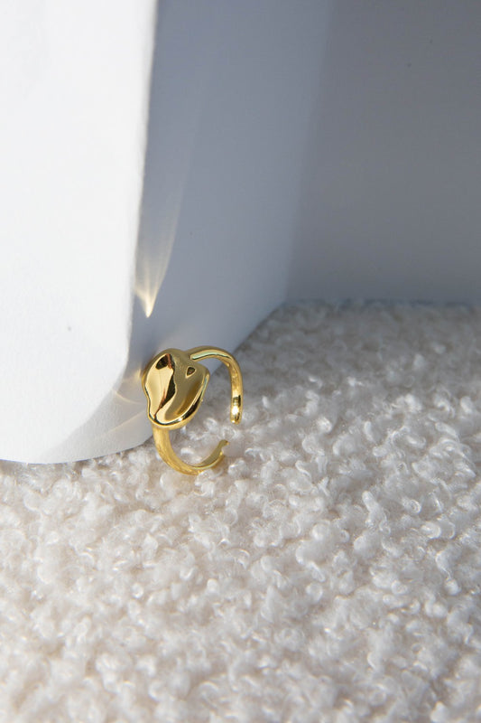 Arte Ring (Gold)