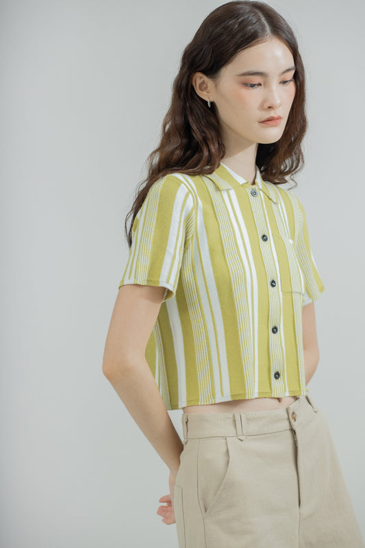 Cassia Stripes Knit Short Sleeve (Green Mix)