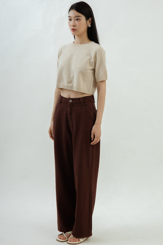 Raglan Round Neck Knit Top (Beige)