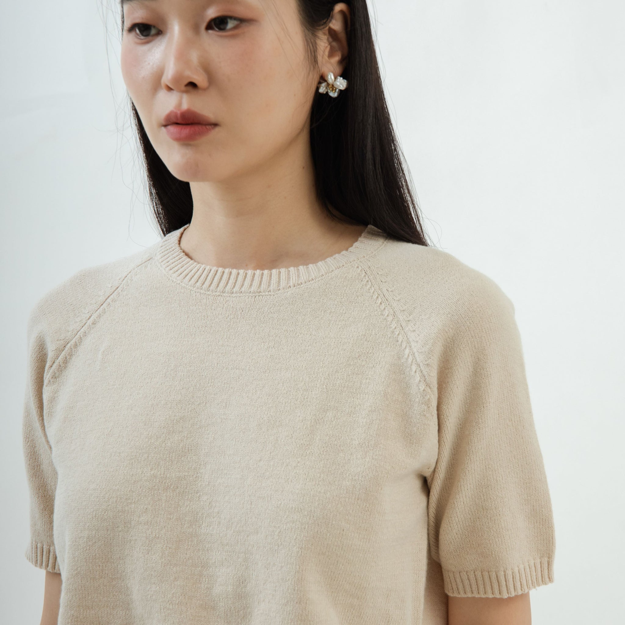 Raglan Round Neck Knit Top (Beige)