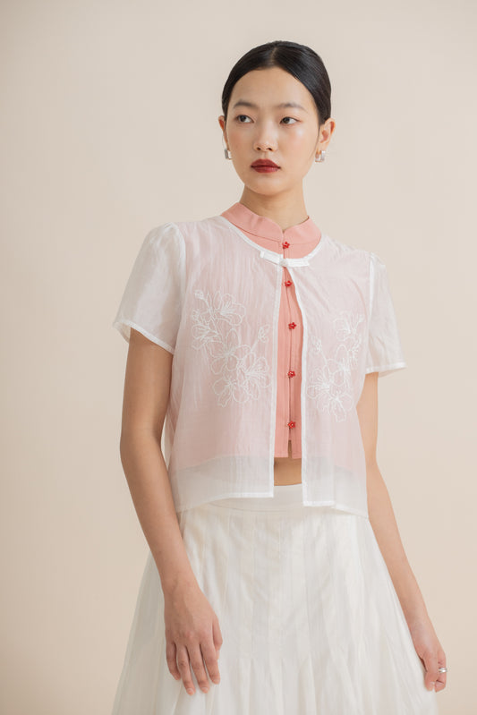 Sheer Blossom Embroidery Puffy Sleeve Top (Pink)