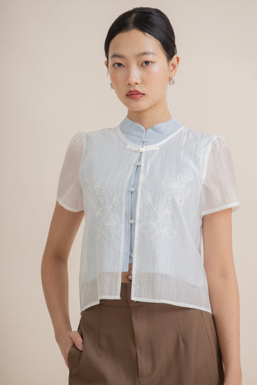 Sheer Blossom Embroidery Puffy Sleeve Top (Pastel Blue)
